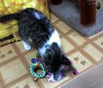 Thumbnail of post image 069