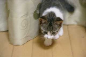 Thumbnail of post image 024