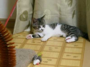 Thumbnail of post image 083