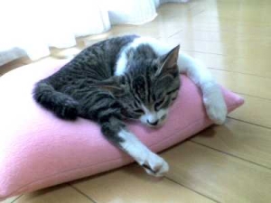 Thumbnail of post image 073