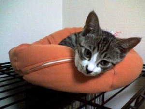 Thumbnail of post image 045