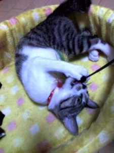 Thumbnail of post image 122