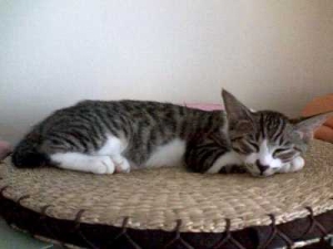 Thumbnail of post image 044