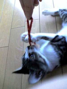 Thumbnail of post image 109