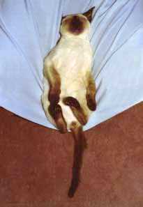 Thumbnail of post image 060