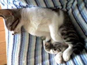 Thumbnail of post image 062