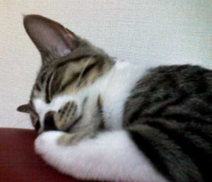 Thumbnail of post image 044