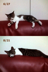 Thumbnail of post image 170