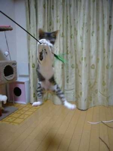 Thumbnail of post image 043