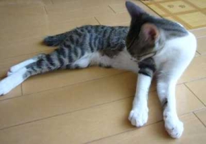 Thumbnail of post image 007