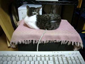 Thumbnail of post image 004