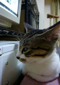 Thumbnail of post image 119