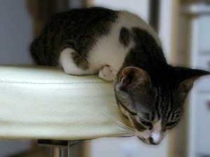 Thumbnail of post image 099