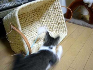Thumbnail of post image 048