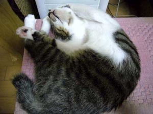 Thumbnail of post image 178