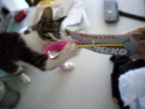 Thumbnail of post image 093