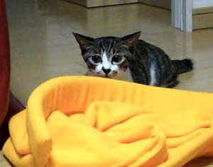 Thumbnail of post image 121