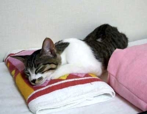Thumbnail of post image 019