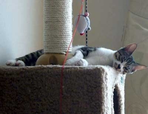 Thumbnail of post image 040
