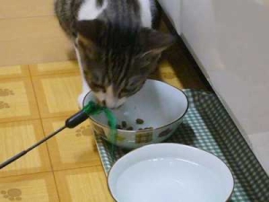 Thumbnail of post image 115