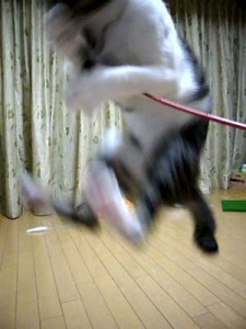 Thumbnail of post image 072