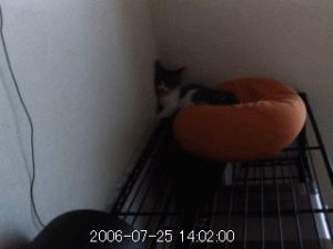 Thumbnail of post image 144