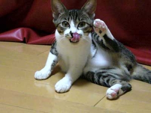 Thumbnail of post image 007