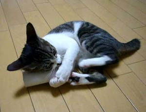 Thumbnail of post image 006