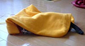 Thumbnail of post image 034