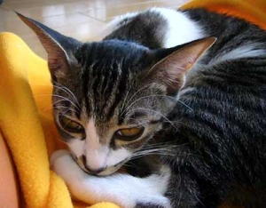 Thumbnail of post image 094
