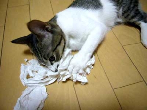 Thumbnail of post image 086
