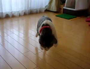 Thumbnail of post image 041