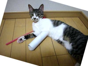 Thumbnail of post image 118
