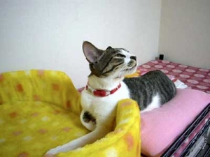 Thumbnail of post image 183
