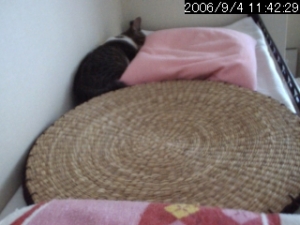 Thumbnail of post image 158