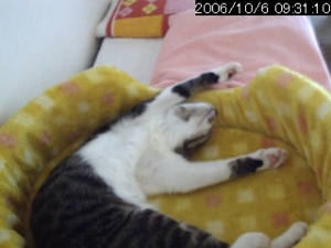 Thumbnail of post image 018