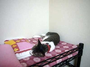 Thumbnail of post image 021