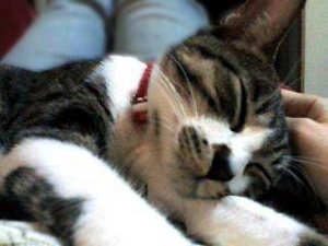 Thumbnail of post image 142