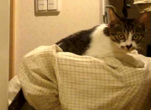 Thumbnail of post image 083