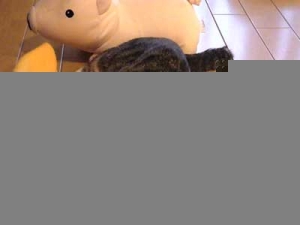 Thumbnail of post image 151