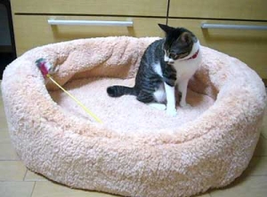 Thumbnail of post image 165