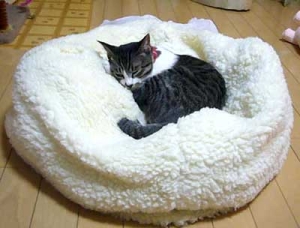 Thumbnail of post image 046