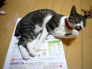 Thumbnail of post image 019