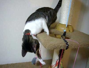 Thumbnail of post image 078