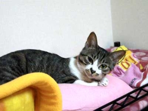 Thumbnail of post image 022