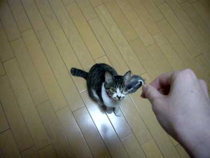 Thumbnail of post image 164