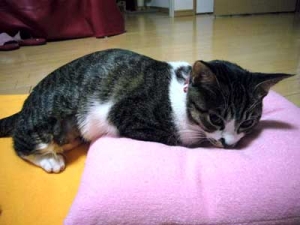 Thumbnail of post image 057