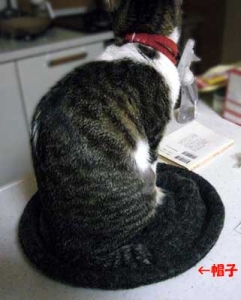 Thumbnail of post image 123