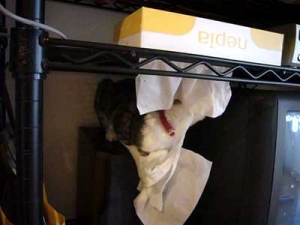 Thumbnail of post image 053