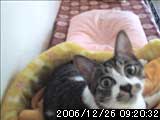 Thumbnail of post image 043
